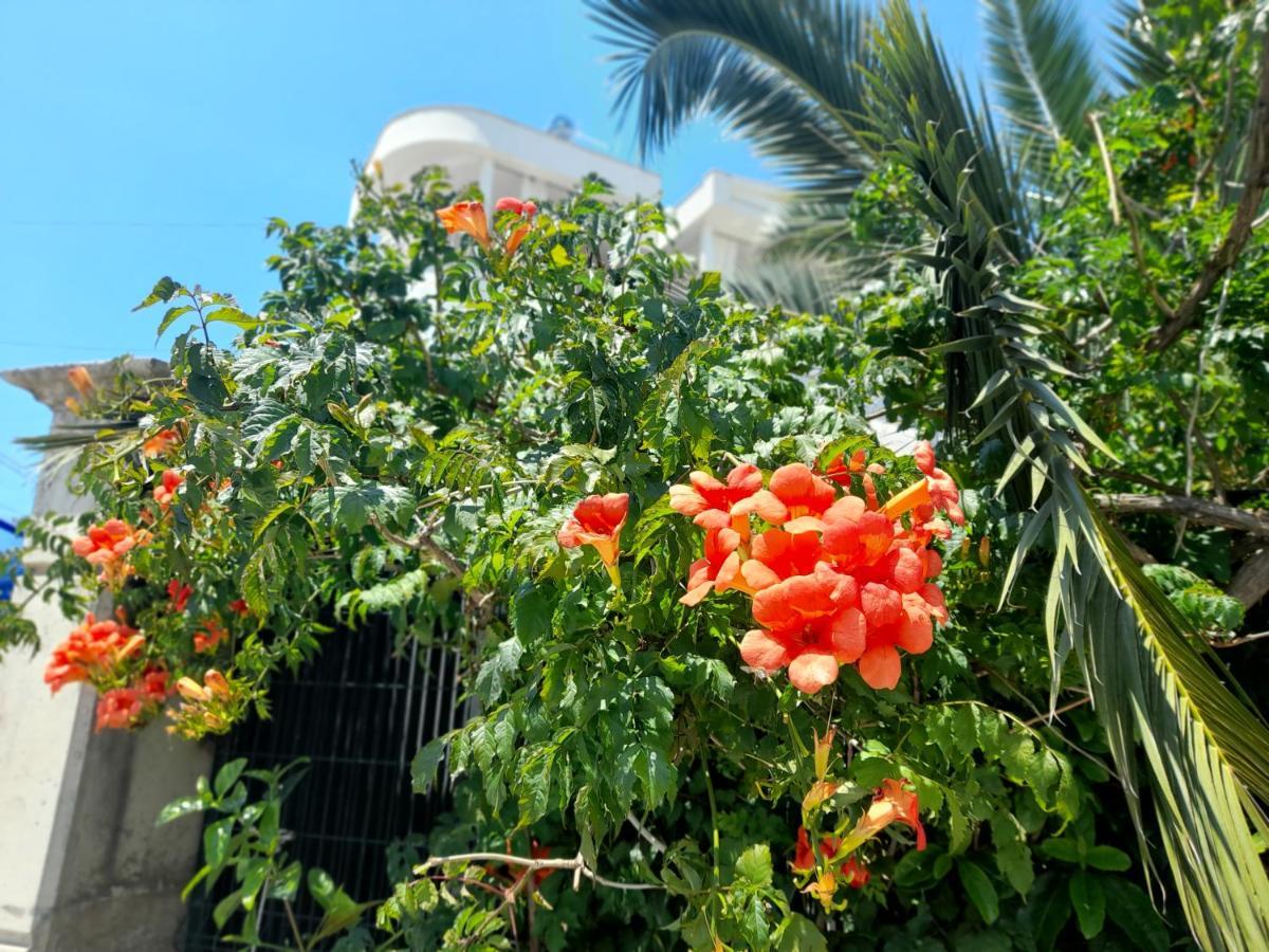 Vila Marjana Sarandë 外观 照片