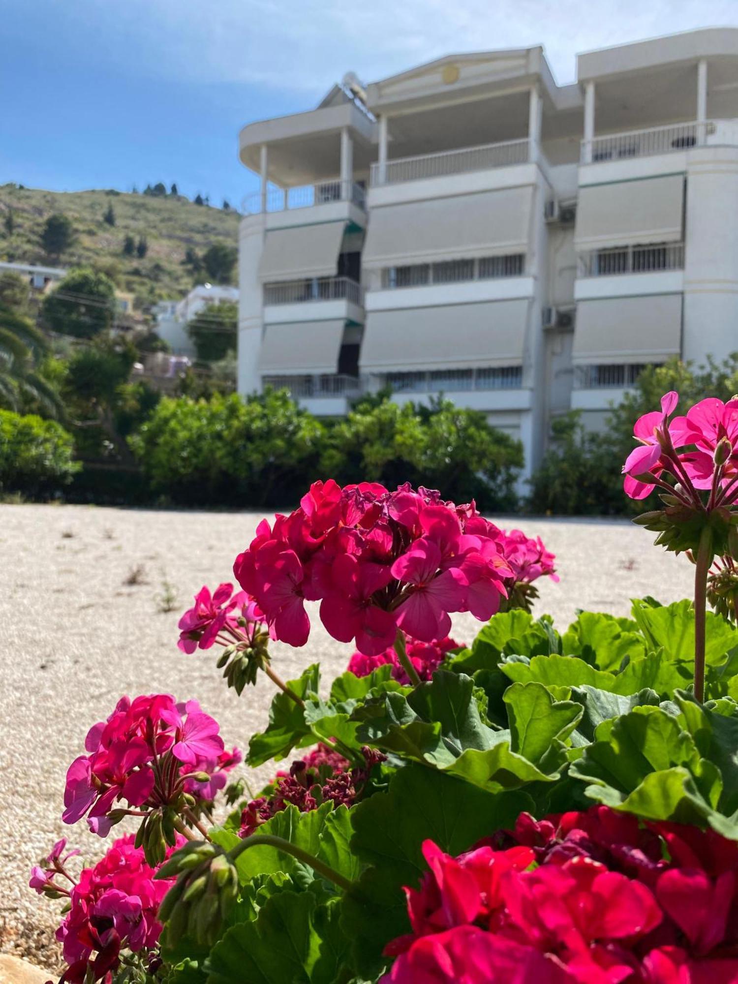 Vila Marjana Sarandë 外观 照片